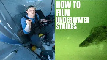 How To Film With An Underwater Camera! (Aqua-Vu)