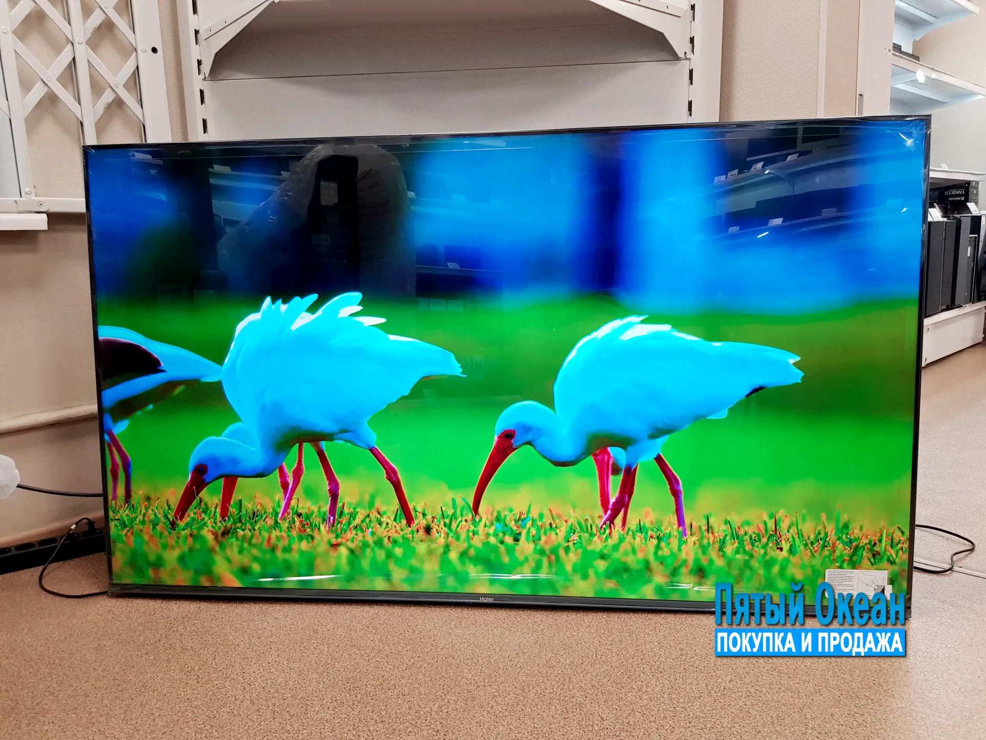 65'' (165см) Телевизор Haier 65 Smart TV S5