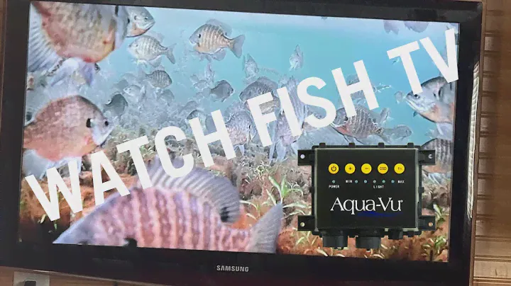 Connect your Aqua-Vu Underwater Camera to your Fish House TV!